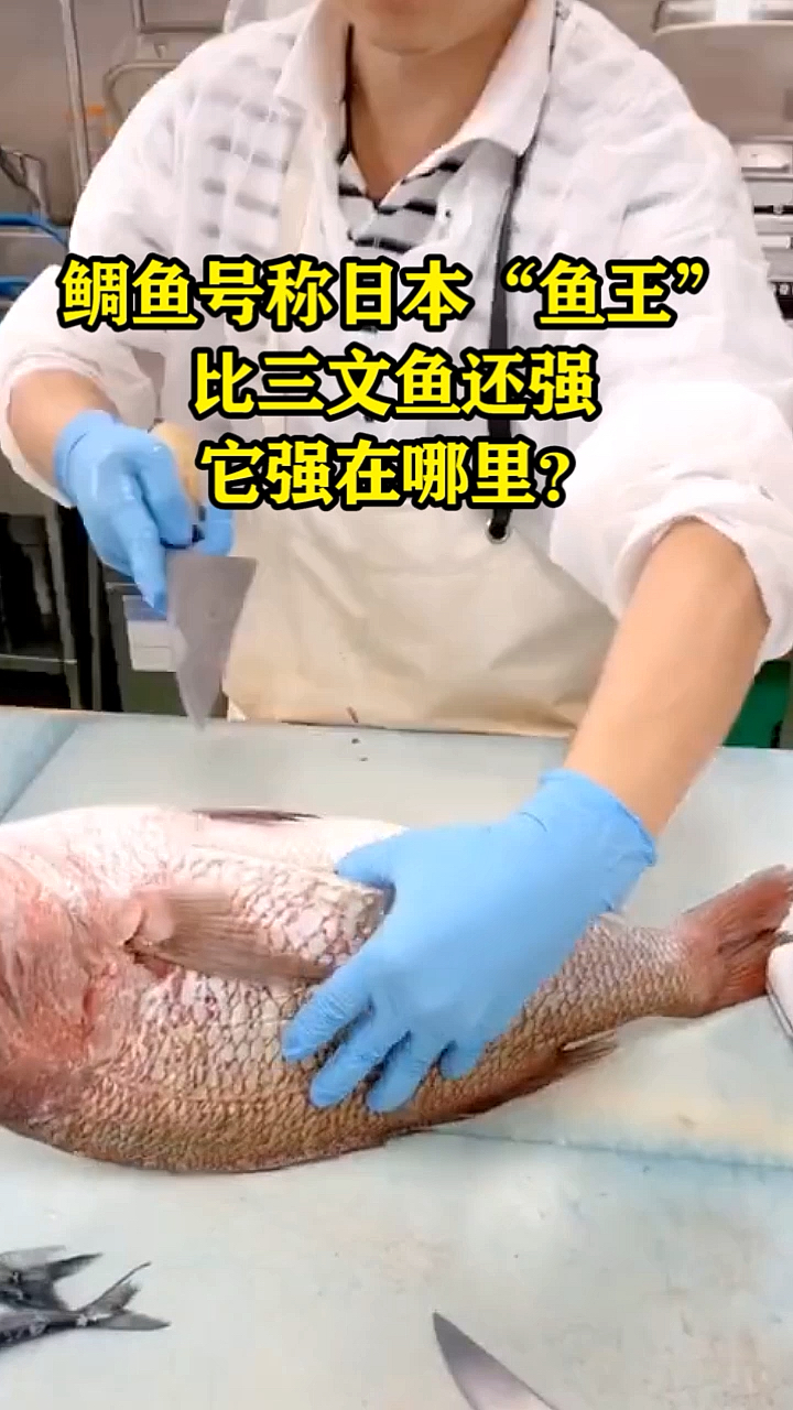 鲷鱼号称日本“鱼王”比三文鱼还强它强在哪里?