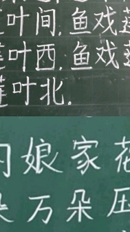 分享视频