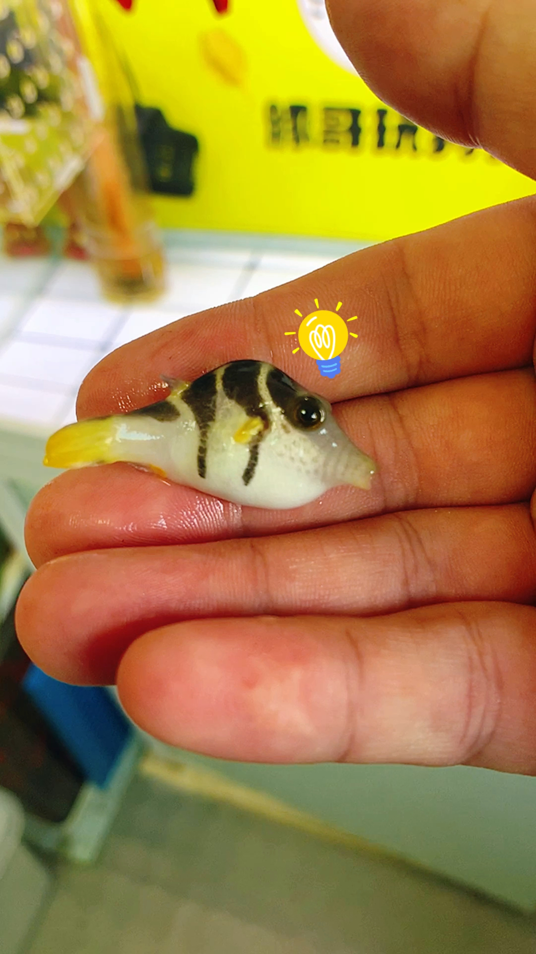 #手机摄影#鱼小脾气大！这可咋整