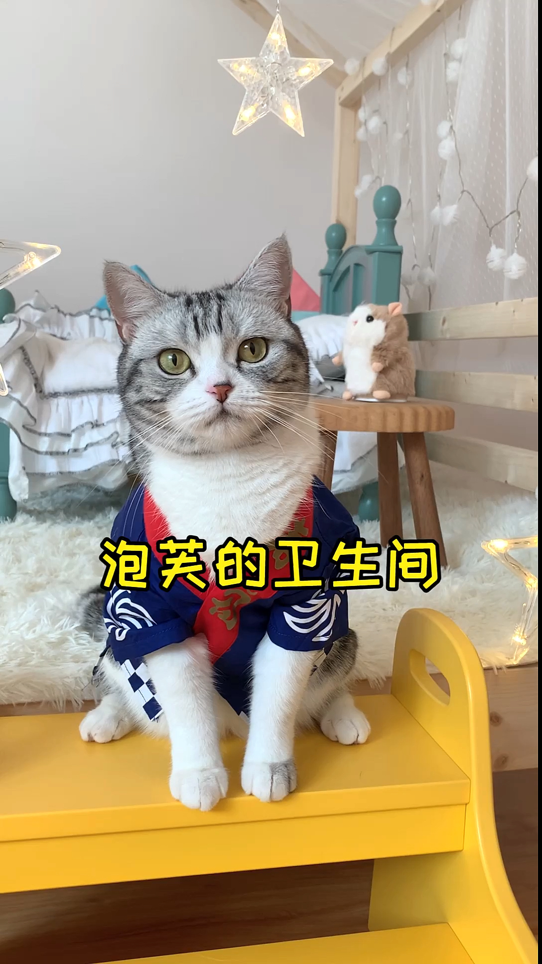 #家有猫咪#泡芙终于有自己的卫生间了