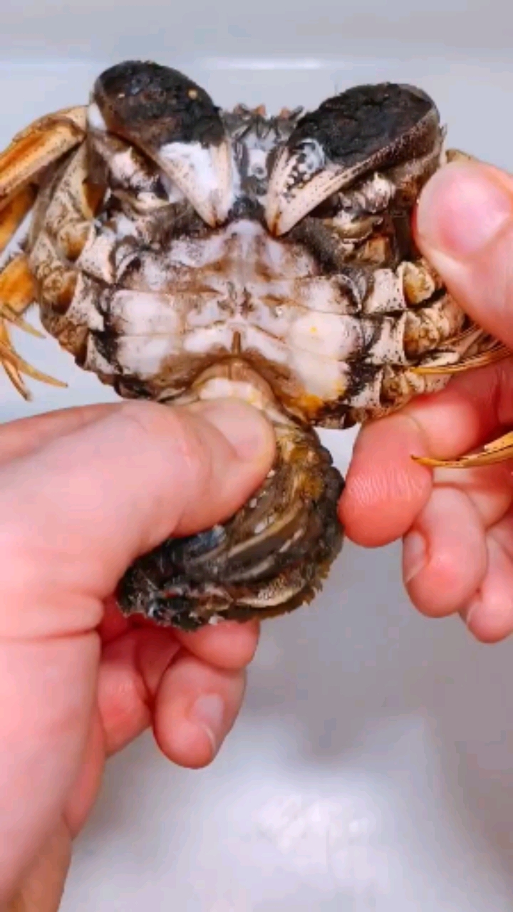 #美食教程#如何用叉子吃一只螃蟹