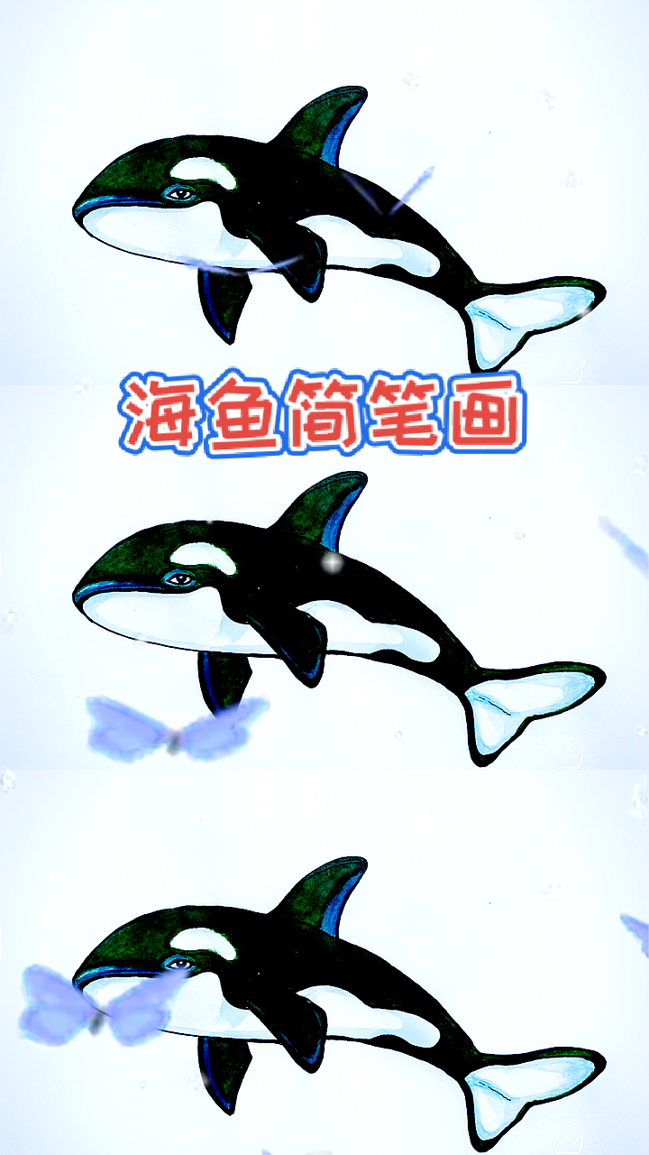 #简笔画教学#海鱼简笔画合集