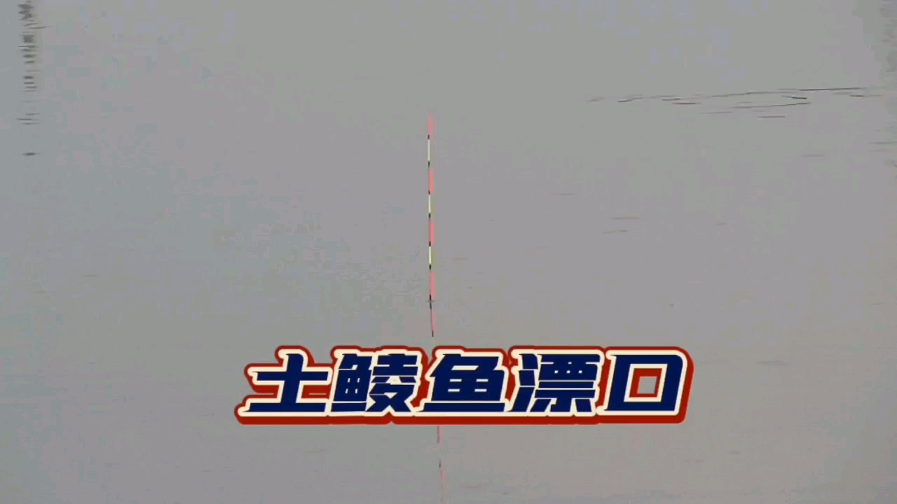 土鲮鱼来口的速度,直接进食黑漂口