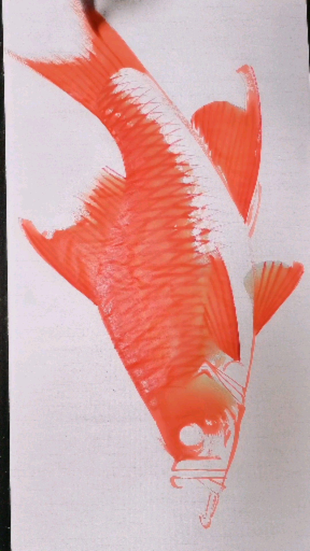 #我要上热门#大鱼画法终于来了