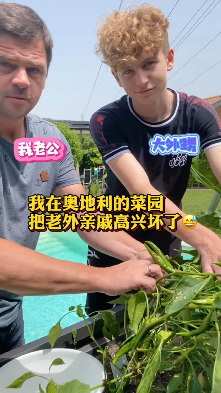 我在奥地利种的这点菜,可是下了血本的,今天收获满满,送了些给老外亲戚,他好开心