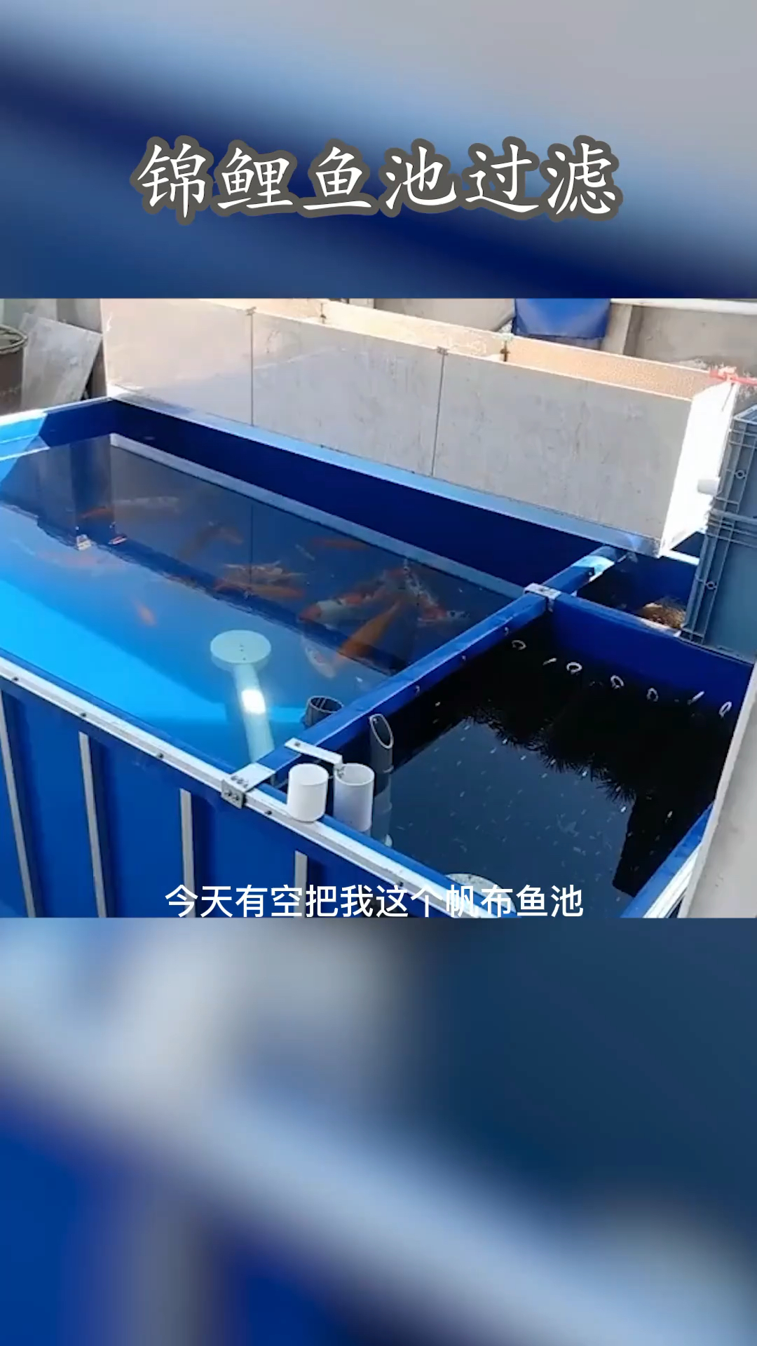 锦鲤帆布池过滤池