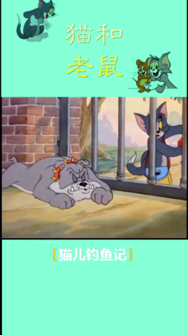 #我要上热门#猫儿钓鱼记