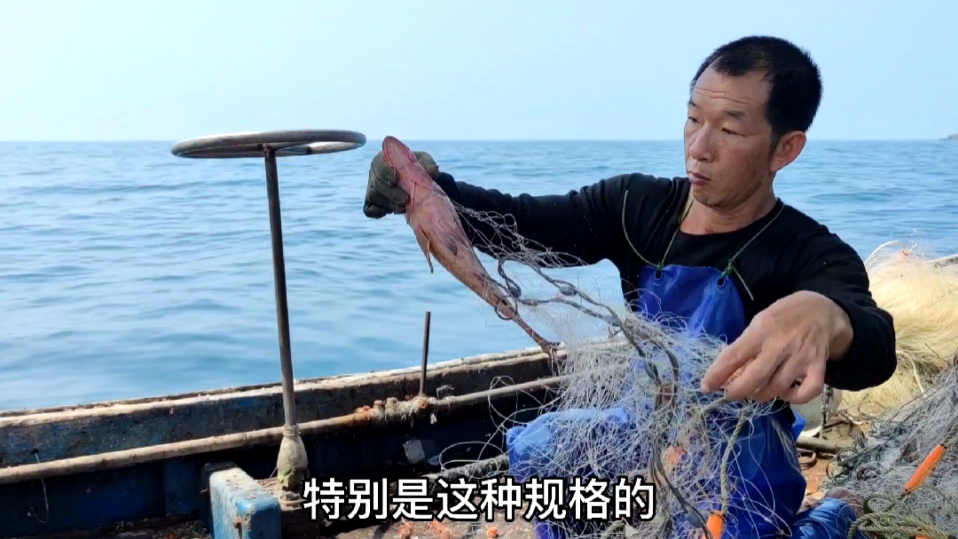 #不一样的人生#潮汕渔民抓到一条好货,这么一条能值一千来块钱,有地方称为贵鱼(下)