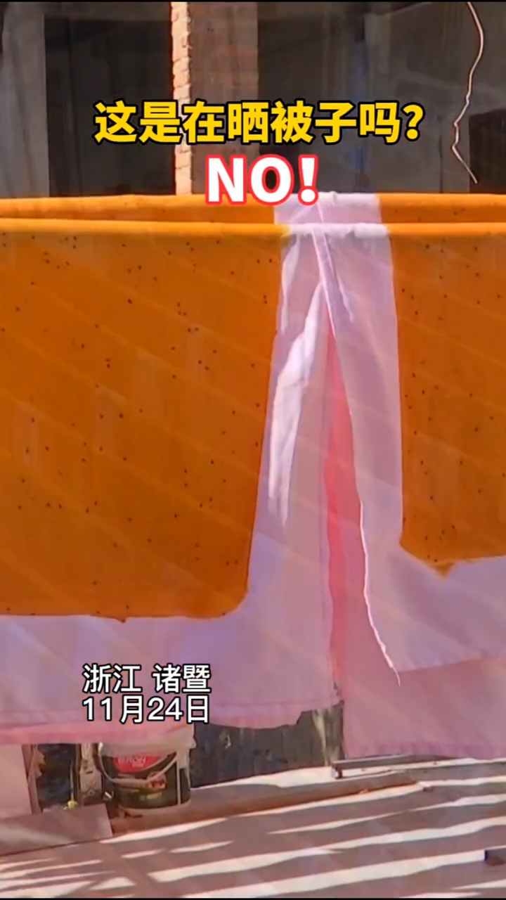这不是在晒“被子”?番薯片,你的家乡是怎么做的?