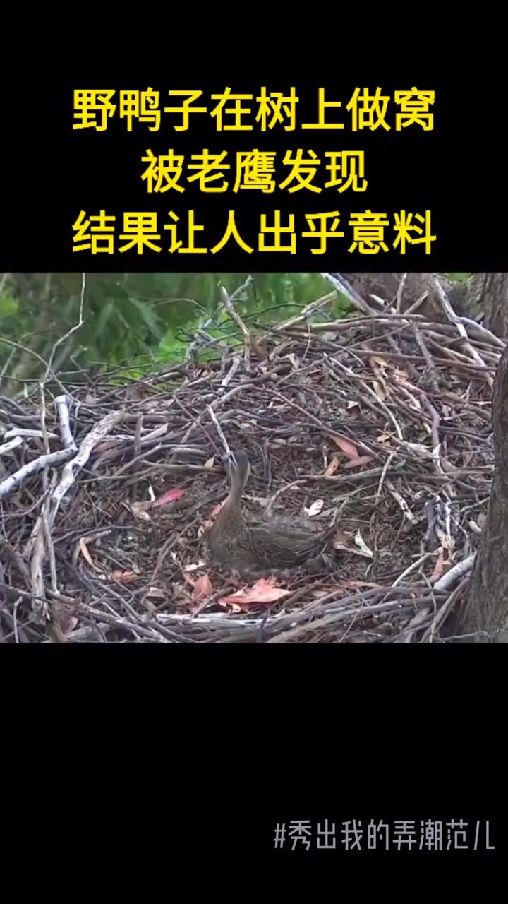 #音为有你#