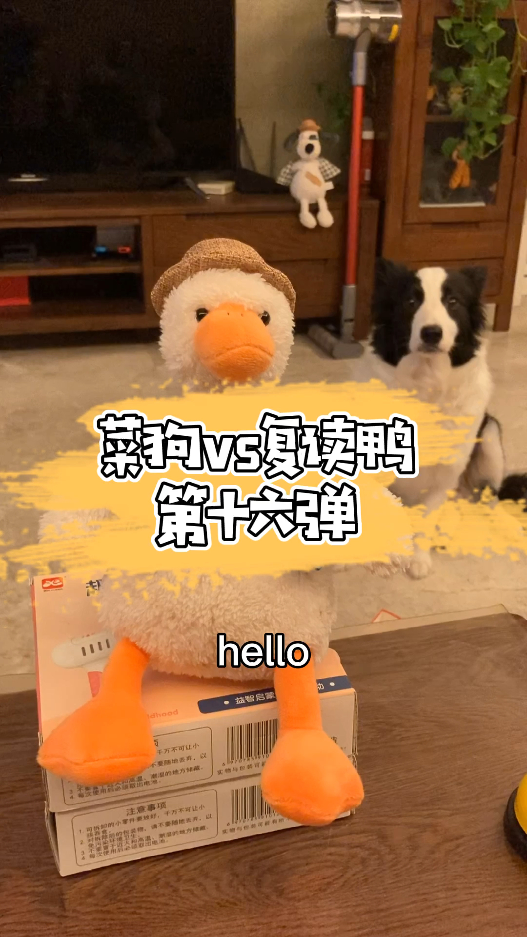 #孟菜鸭#英文老师直呼内行!并哭晕在厕所!