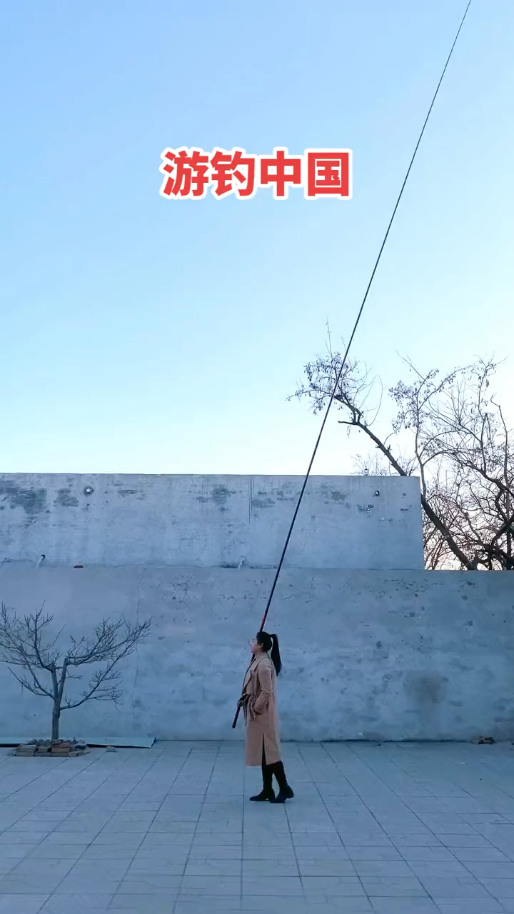 高碳大炮鱼竿,钓鲫鱼鲤鱼,长竿短线钓法