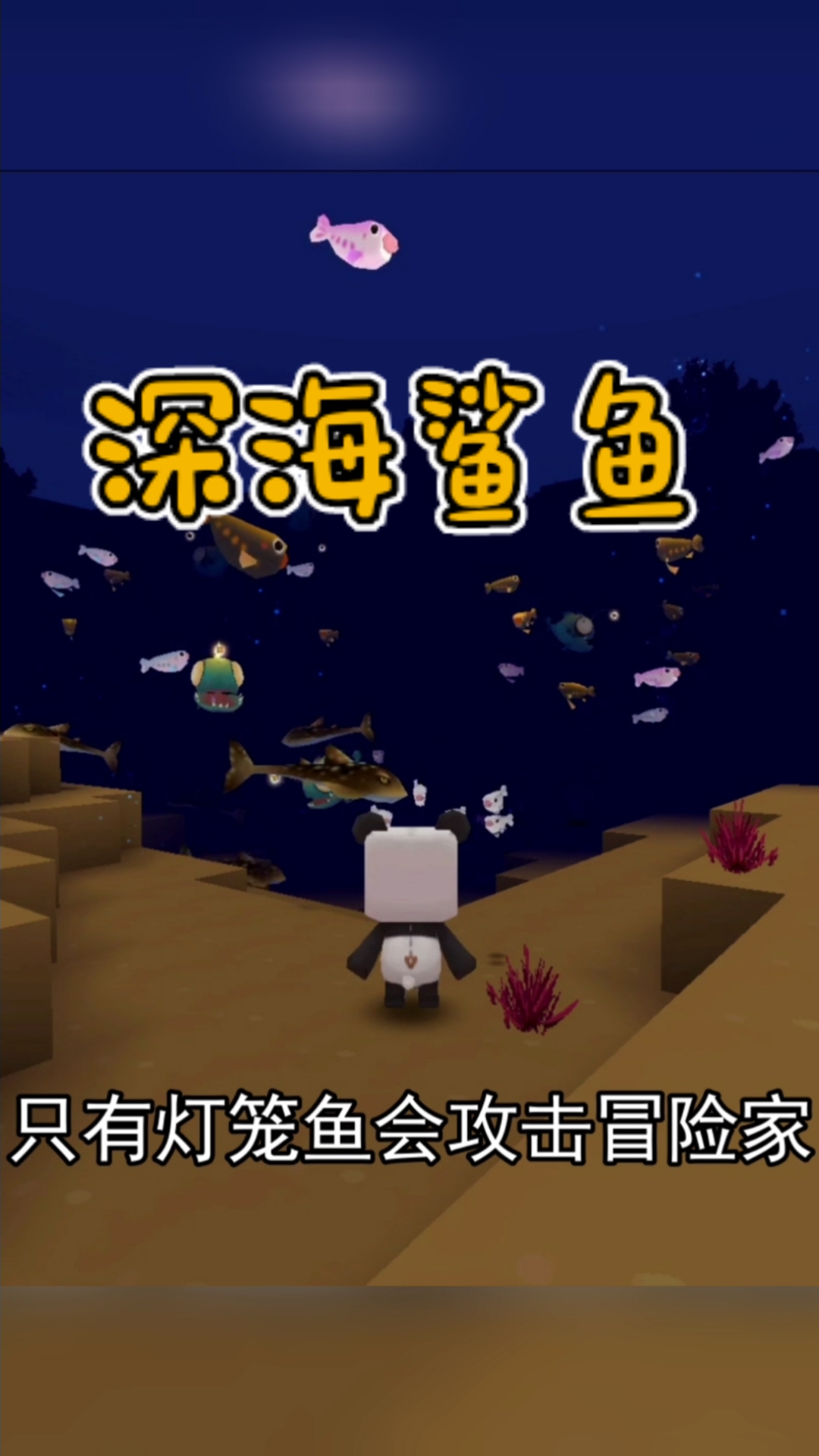 #迷你世界#罕见的深海鲨鱼，是否会攻击冒险家？