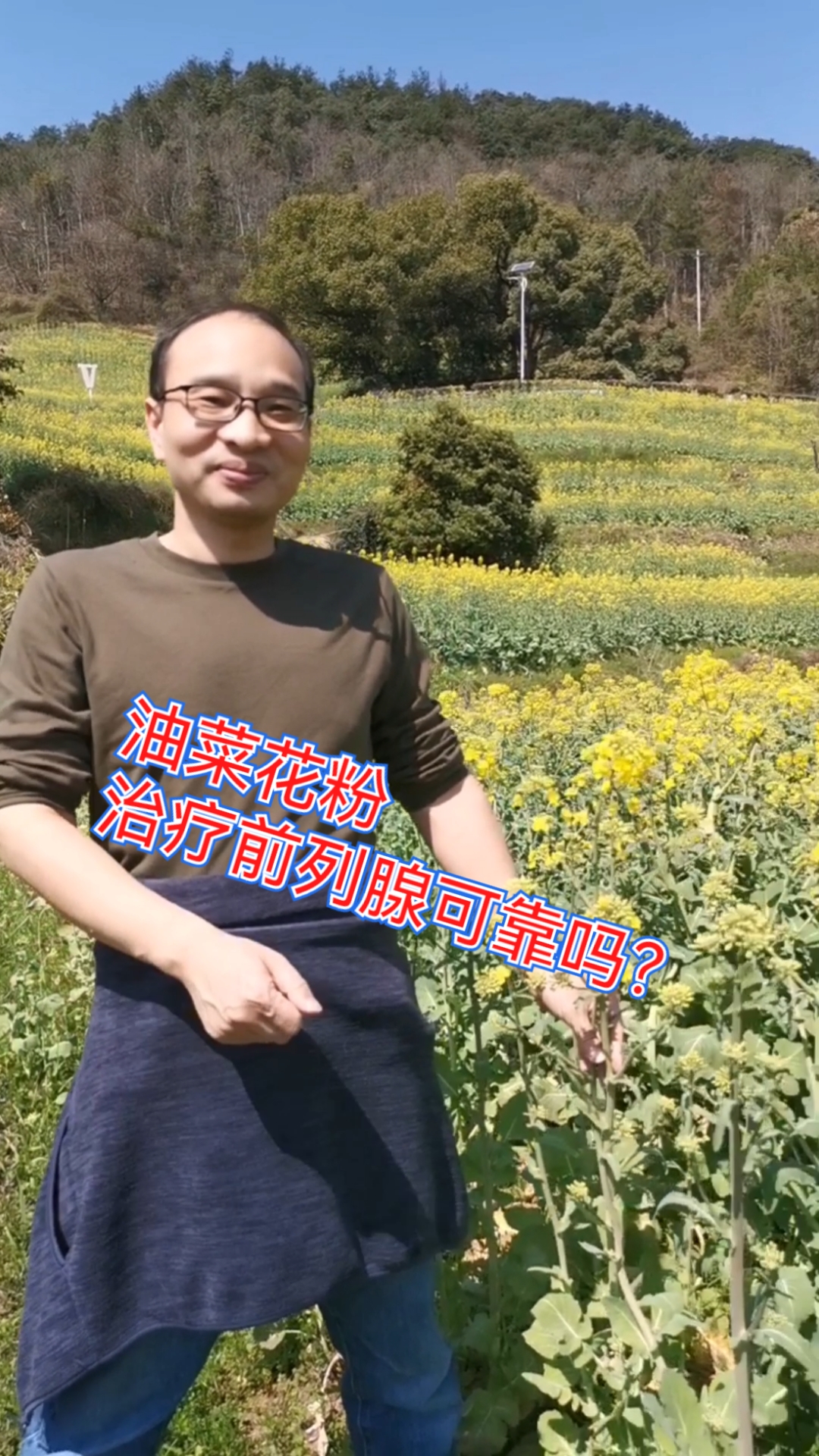 #前列腺炎#油菜花粉,可以治疗前列腺增生,前列腺炎引起来的排尿不畅,尿频。