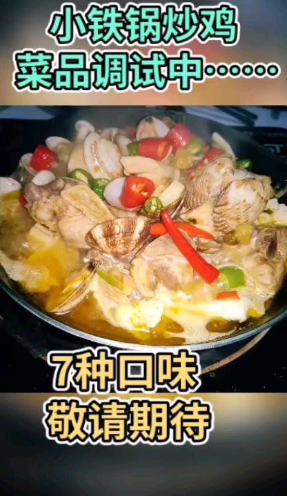 文涛醉*炒鸡米饭菜品调试中……敬请期待