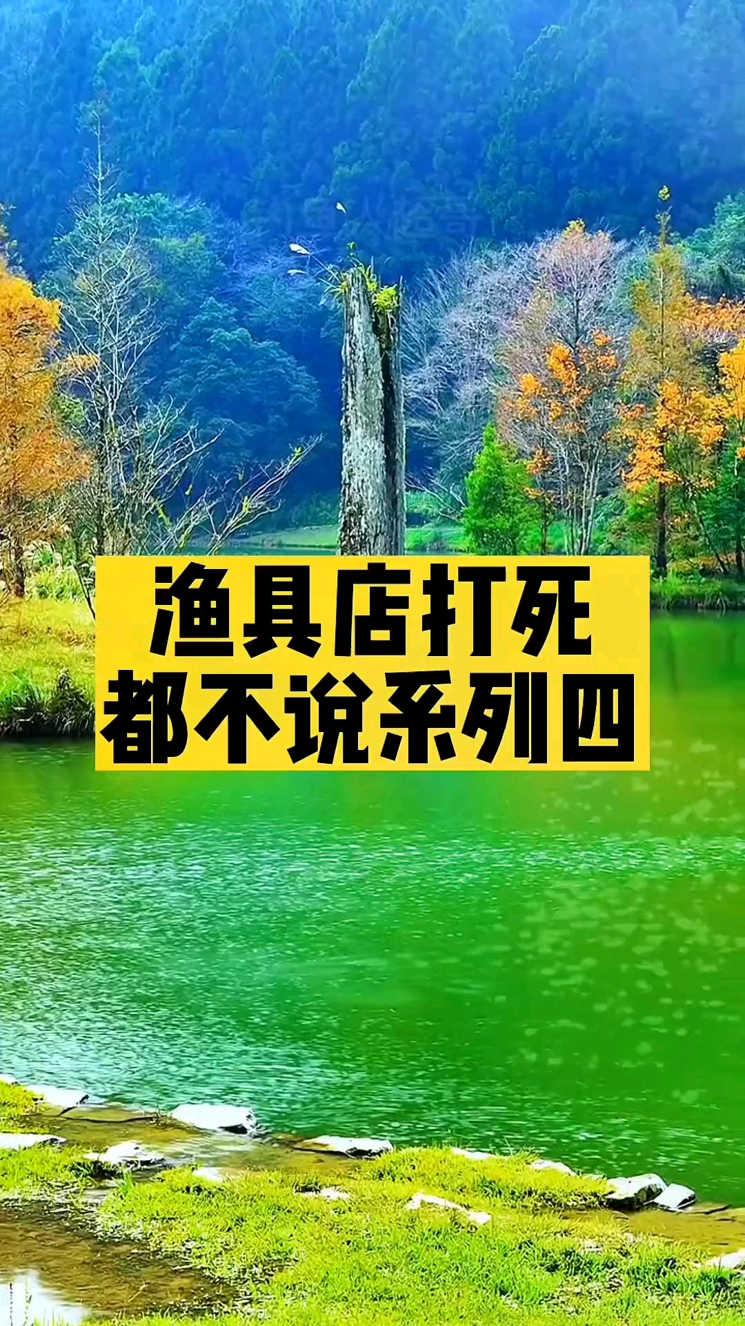 #钓鱼#钓鱼渔具店打死都不说系列,赶快收藏起来吧