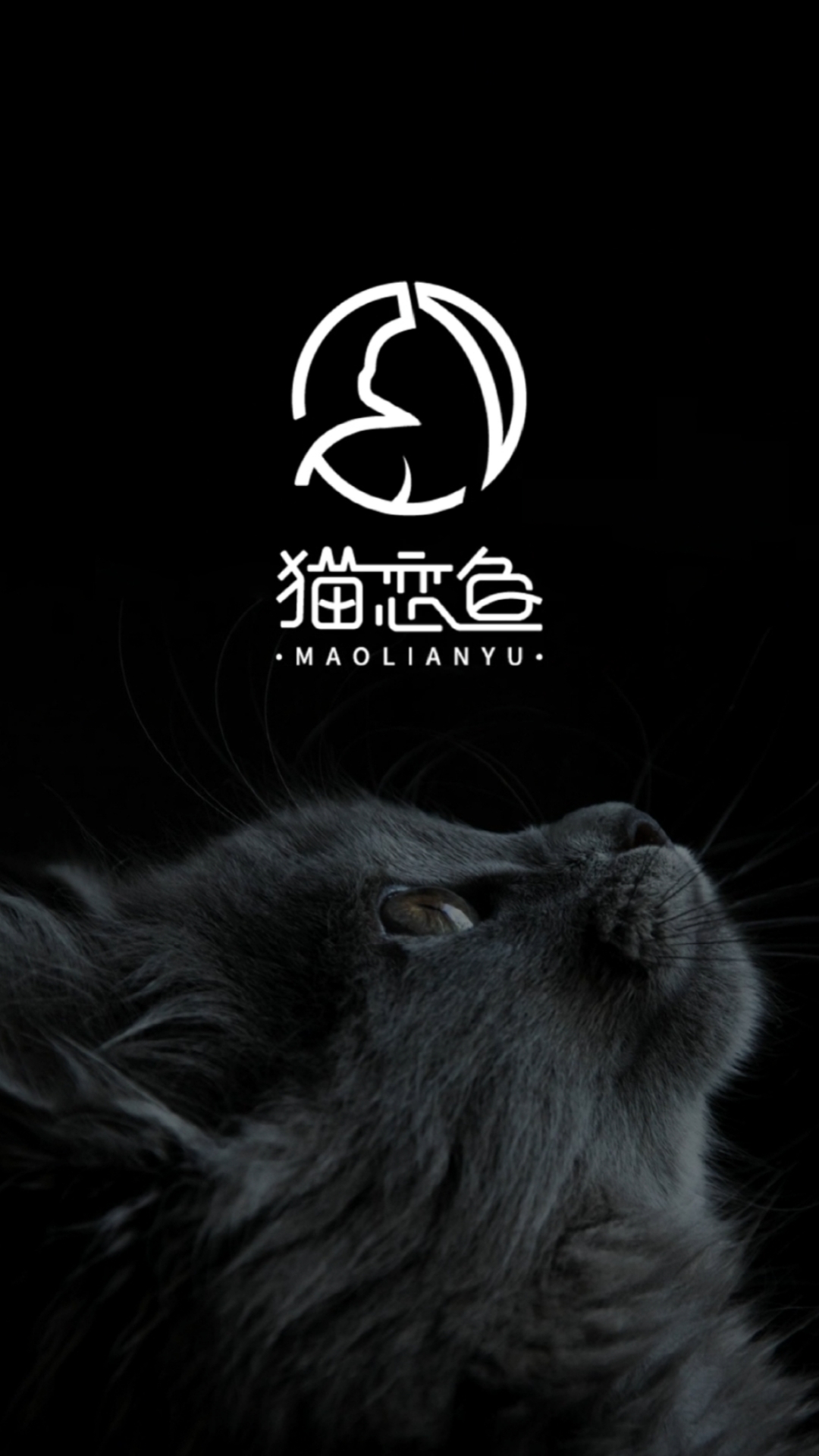 #logo设计#这是我做过最最最简单的LOGO