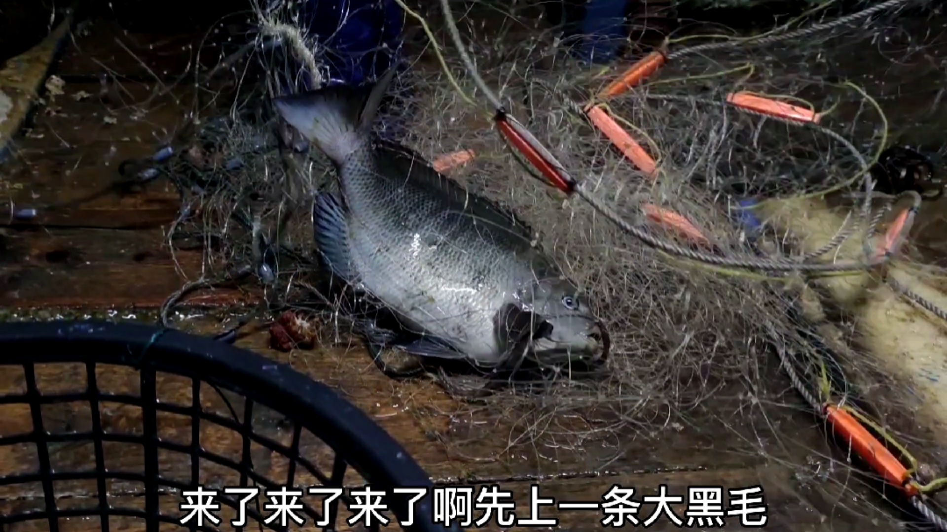 #南澳岛#彪哥在外海捕鱼两天两夜,渔获装了满满一船舱,准备满载而归了(下)