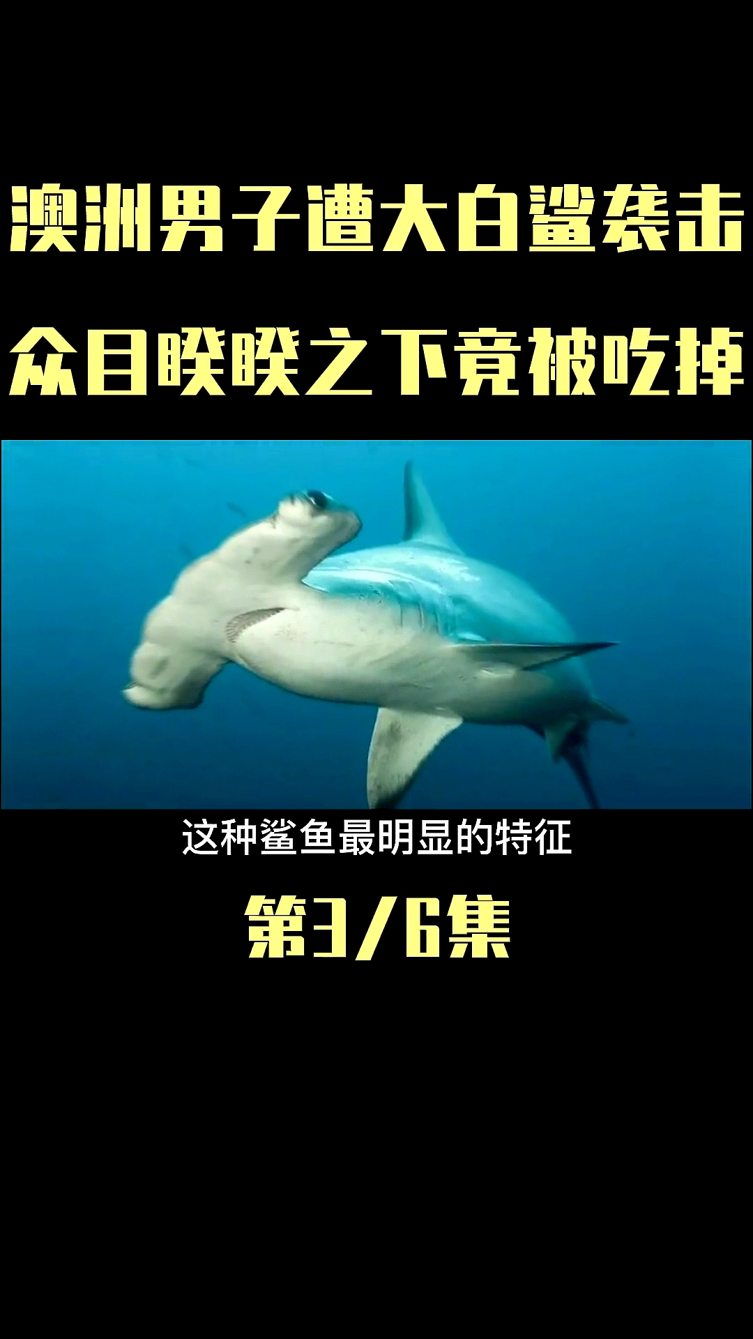#我要上热门#这种鲨鱼头上长着锤子