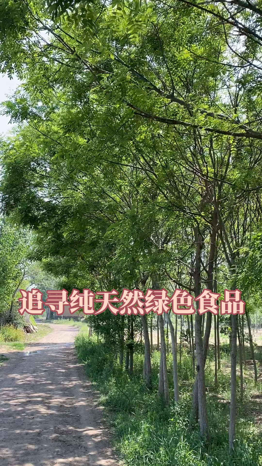 #自制美食#小时候的味道——纯天然韭菜饼,做法超简单,吃的是情怀.