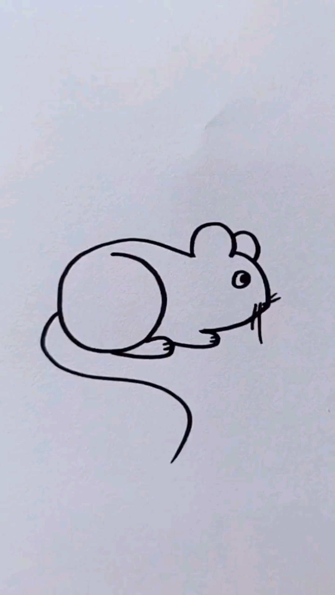 简单画老鼠