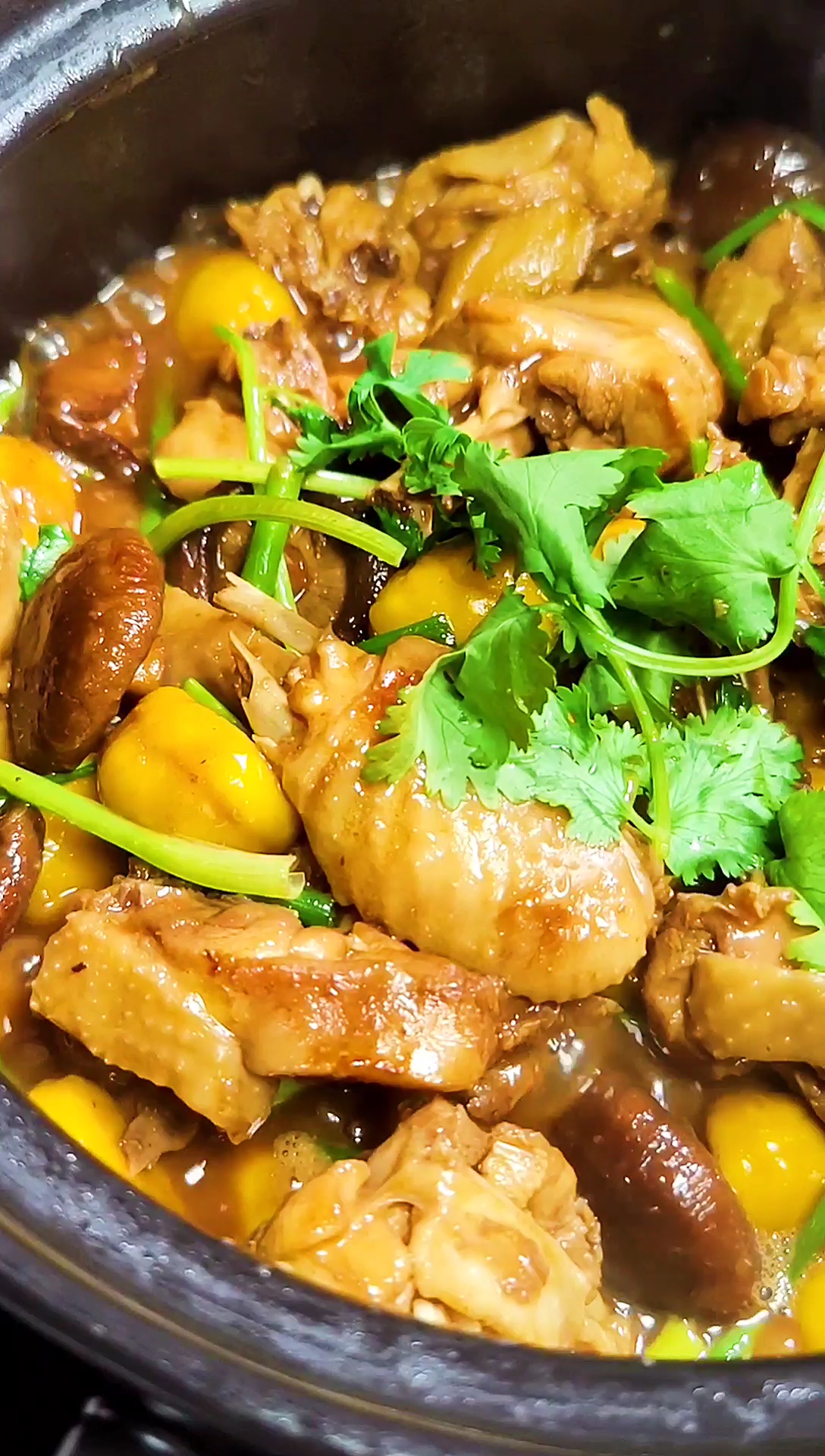 #美食#秋天转凉了,来个香气四溢的香菇栗子鸡煲,暖身养胃又好吃