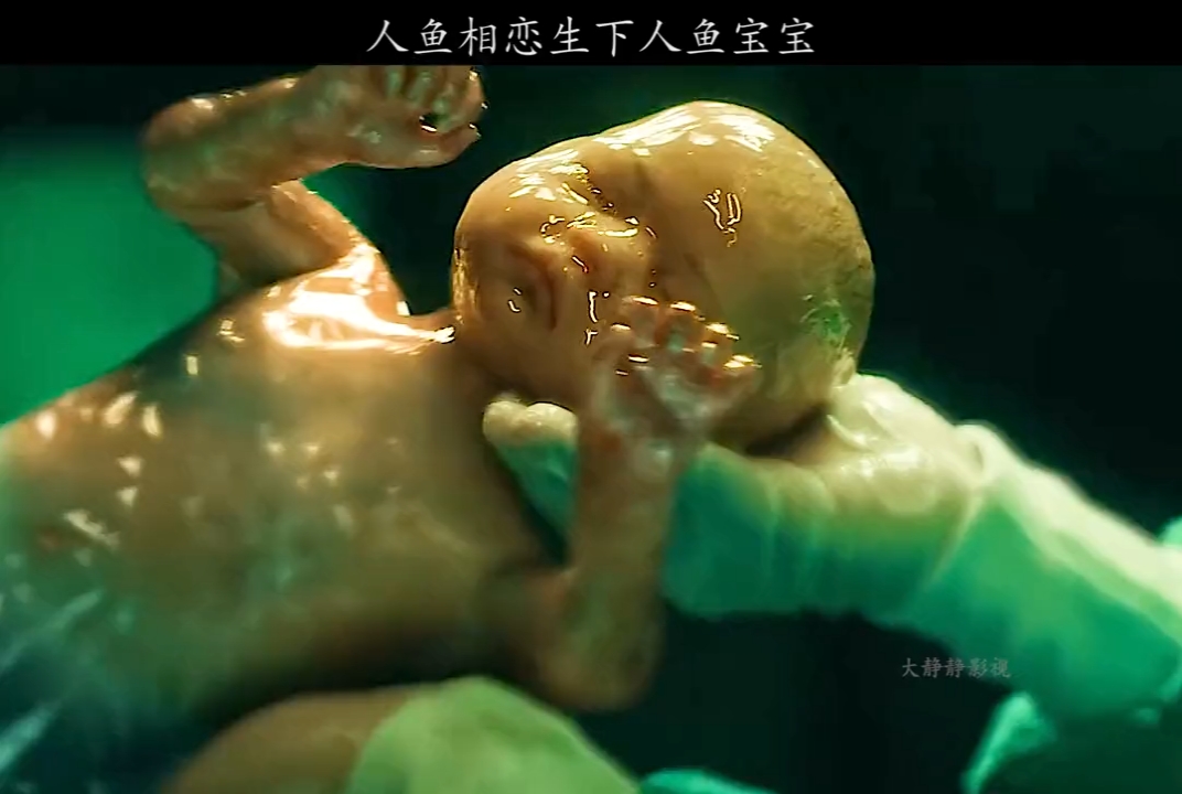 人鱼相恋生下人鱼宝宝