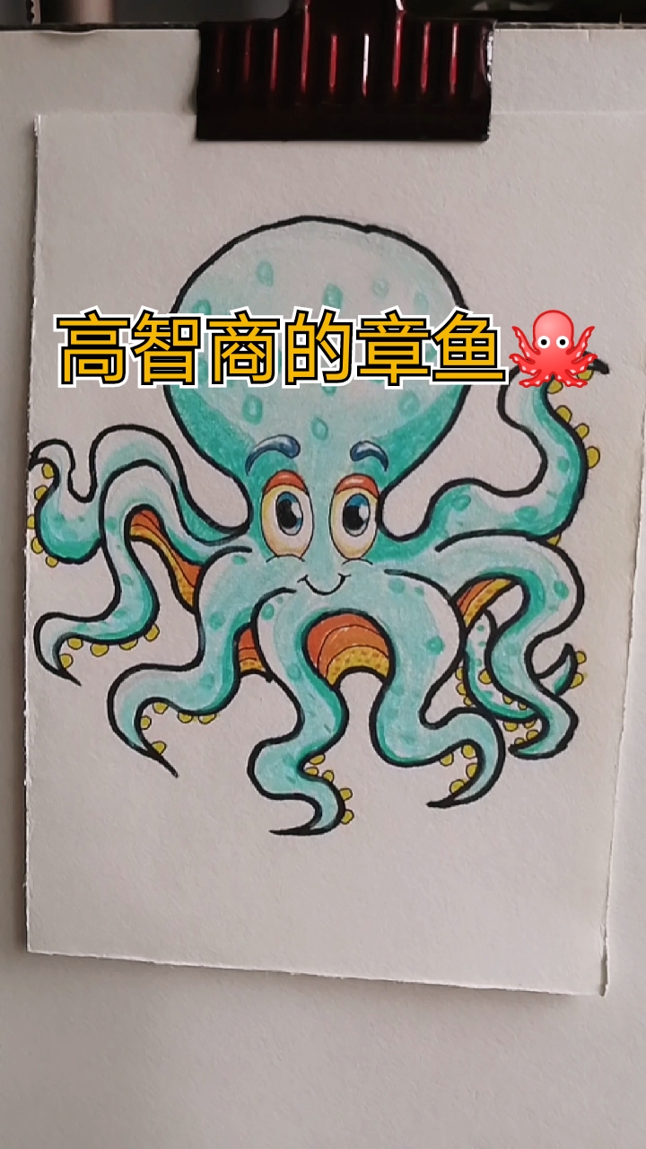 章鱼有强记忆力,精确的抓捕触腕,照相机样的眼睛和三颗心脏及比人类基因还复杂的基因