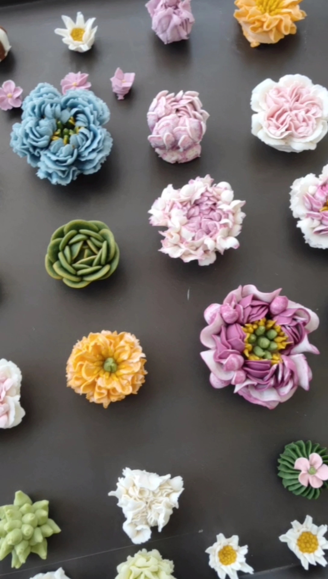 #生日蛋糕#我实在是太喜欢多肉了,我上辈子就是个大沙漠…