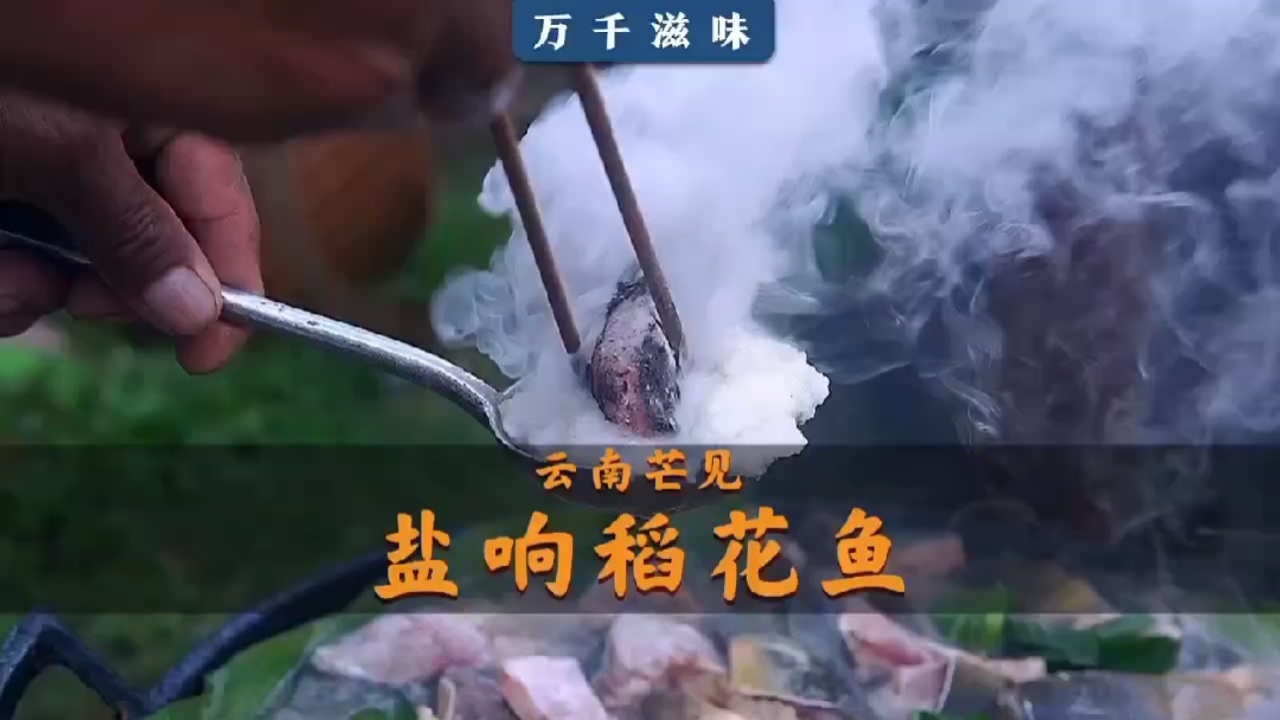 傣族特色做鱼方法――盐响稻花鱼