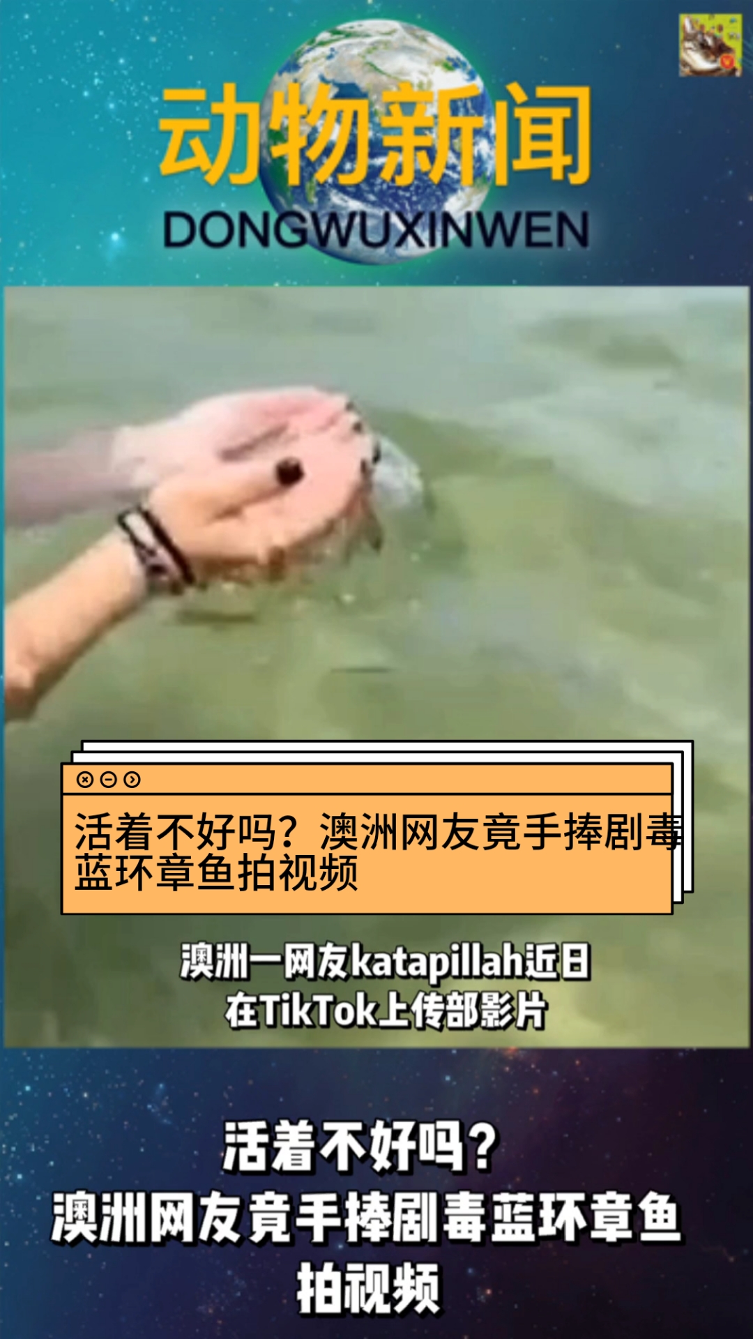 #春日打卡#活着不好吗?澳洲网友竟手捧剧毒蓝环章鱼拍视频