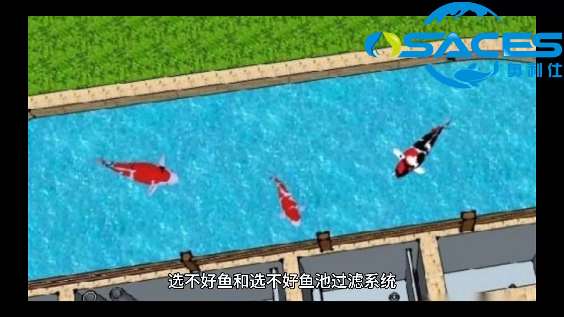 #奥利仕鱼池过滤器#选不好鱼和选不好鱼池过滤系统,哪个后果更严重?