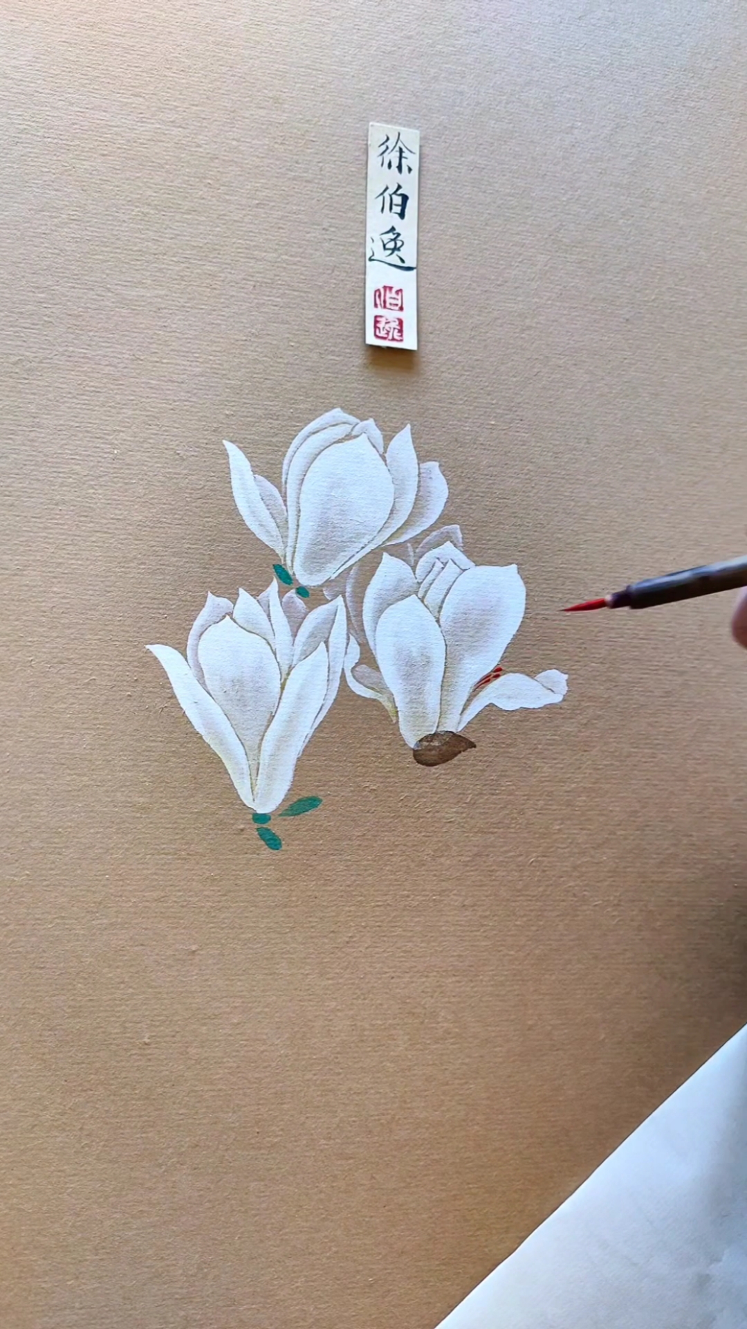 #徐伯逸书画#画几朵冰清玉洁的玉兰花