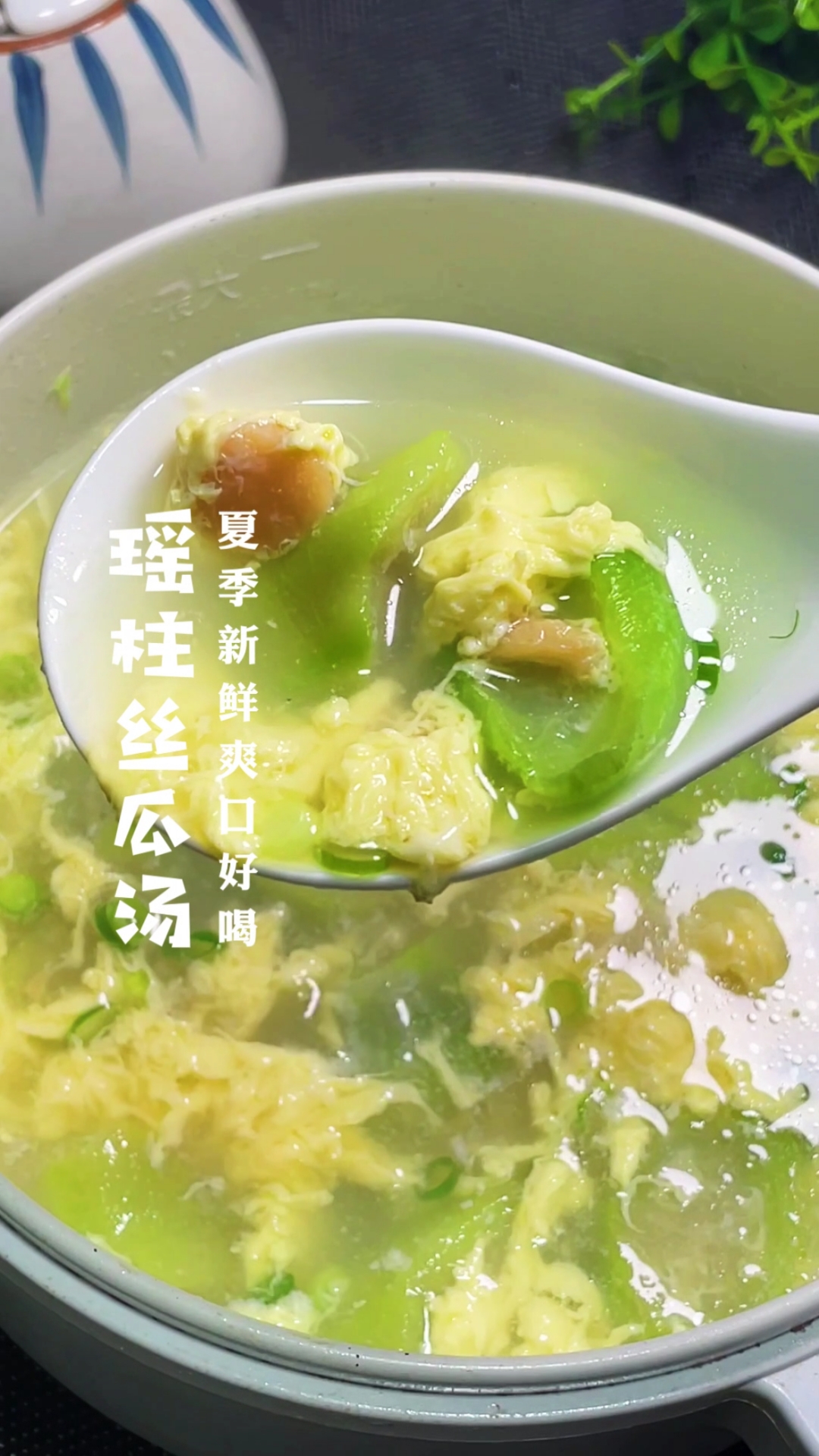 #该减肥了#三伏天不知道吃什么,就来试试我这款干贝丝瓜汤吧。