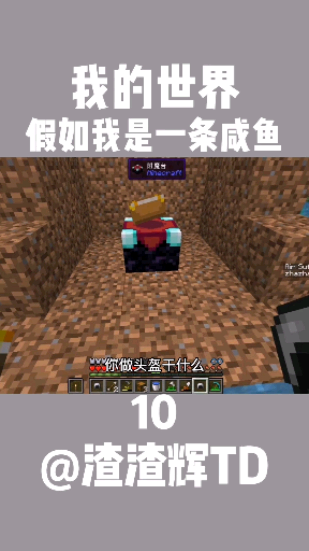 #我的世界#假如我是一条咸鱼