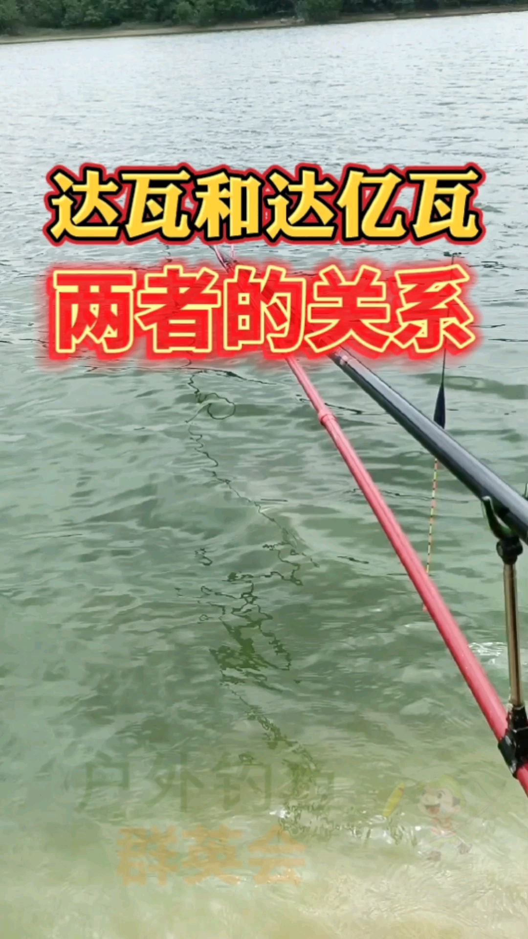 #钓鱼#很多钓友都没有搞清楚,达瓦和达亿瓦两个之间的关系吧,看完这个视频你就懂啦