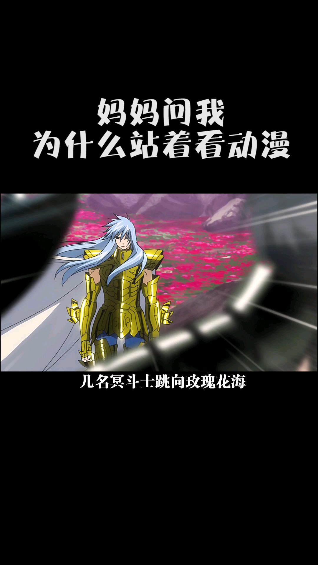 #动漫#圣斗士星矢冥王神话双鱼座二