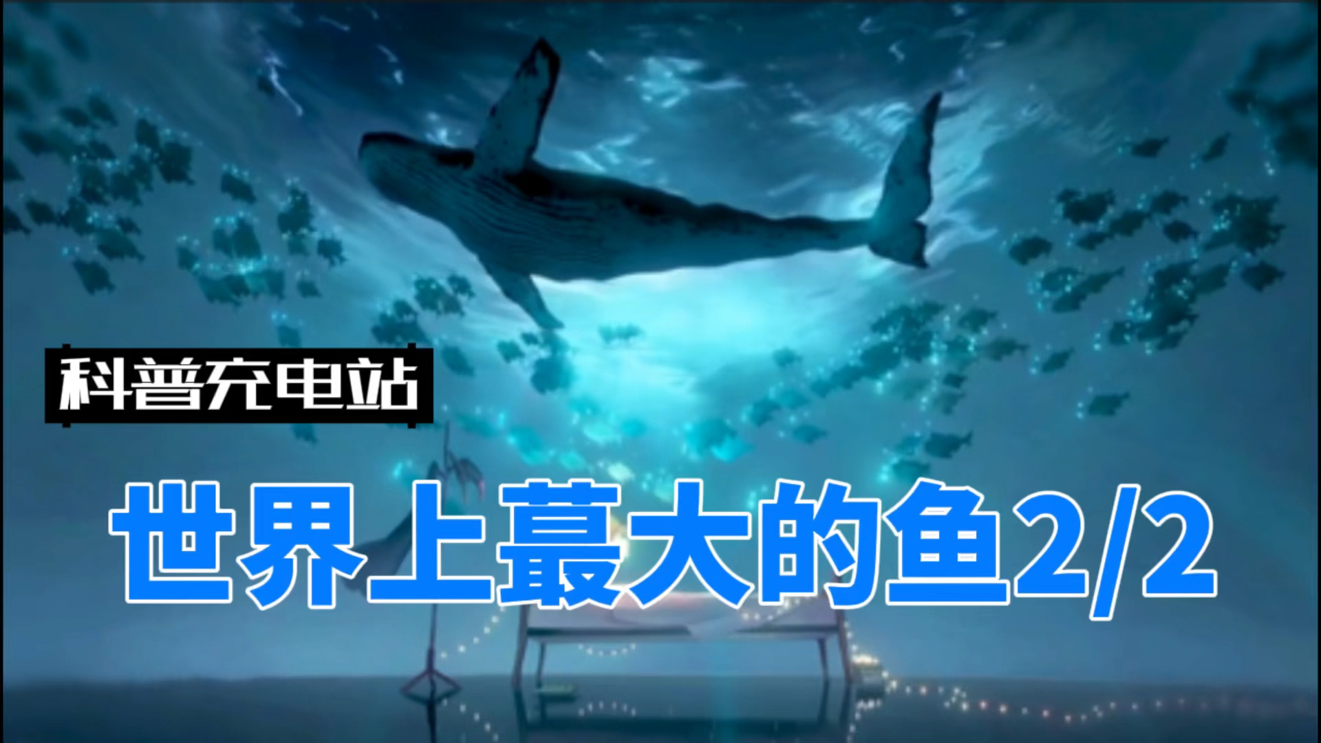 你知道世界上最大的鱼是什么吗?2/2
