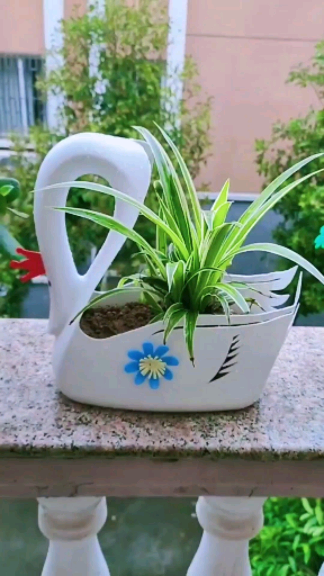 #手工花盆雕刻#洗衣液瓶做白天鹅花盆,简单美观又实用,适合初学着雕刻哦!