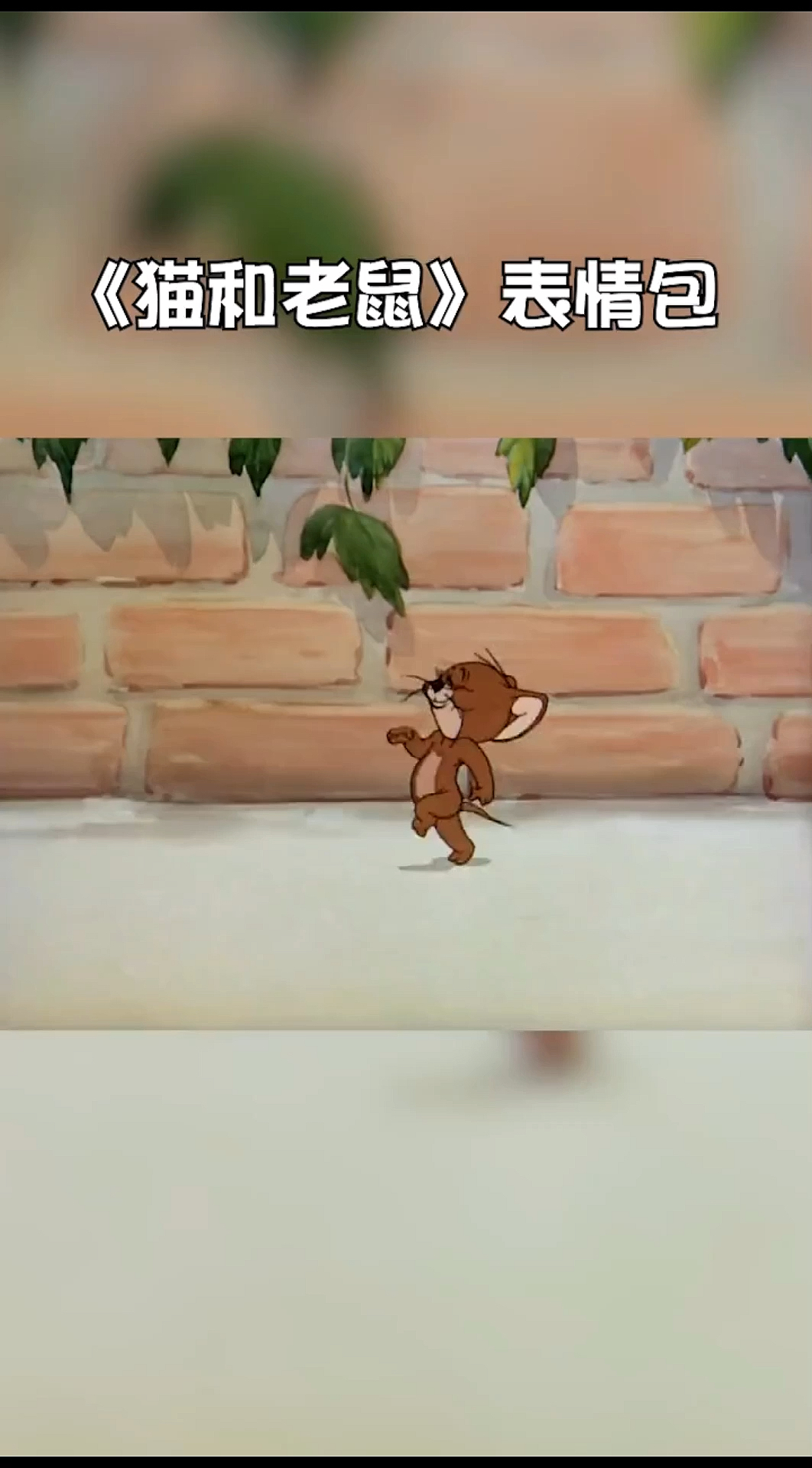 #表情包#猫和老鼠,汤姆带着表情包走来了!