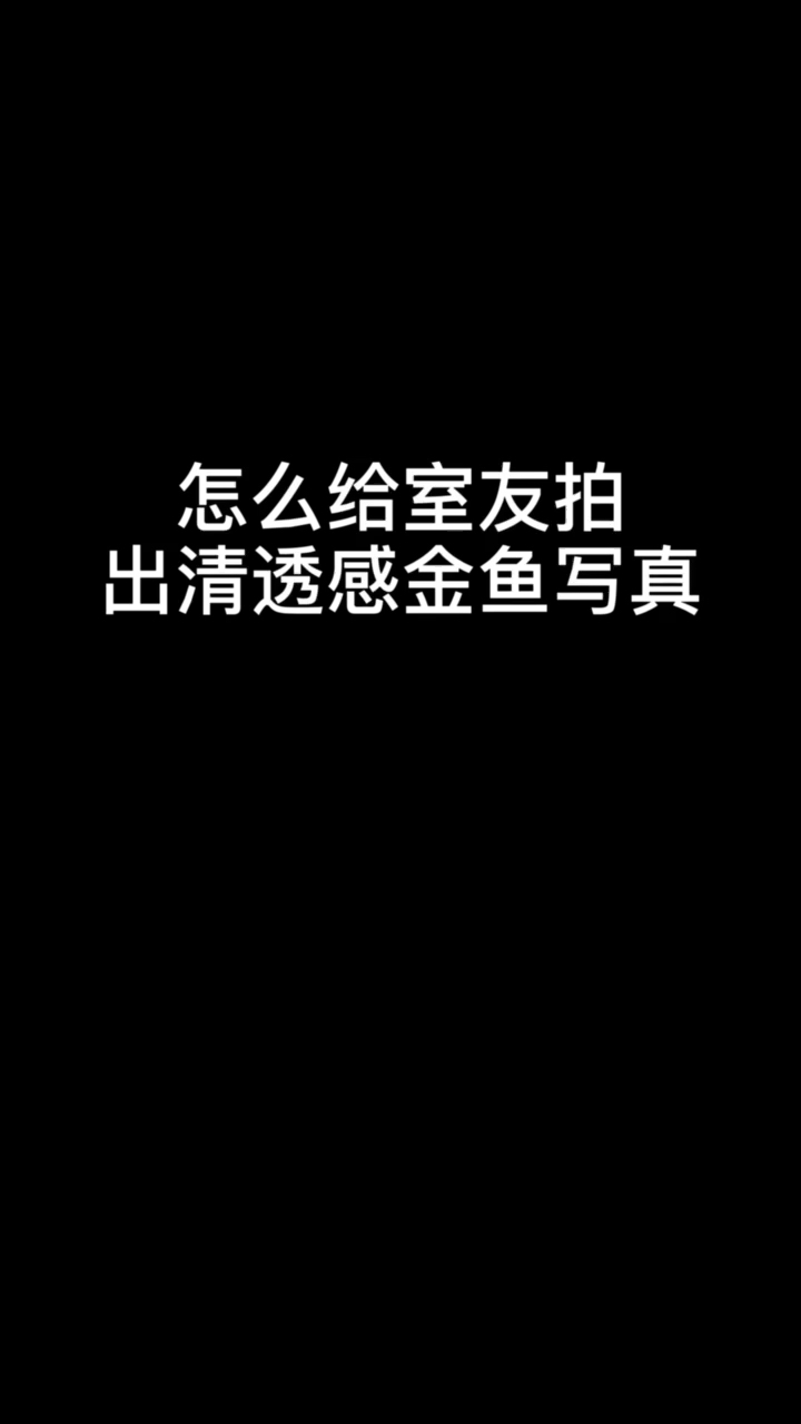 给室友来一套清透感金鱼写真吧