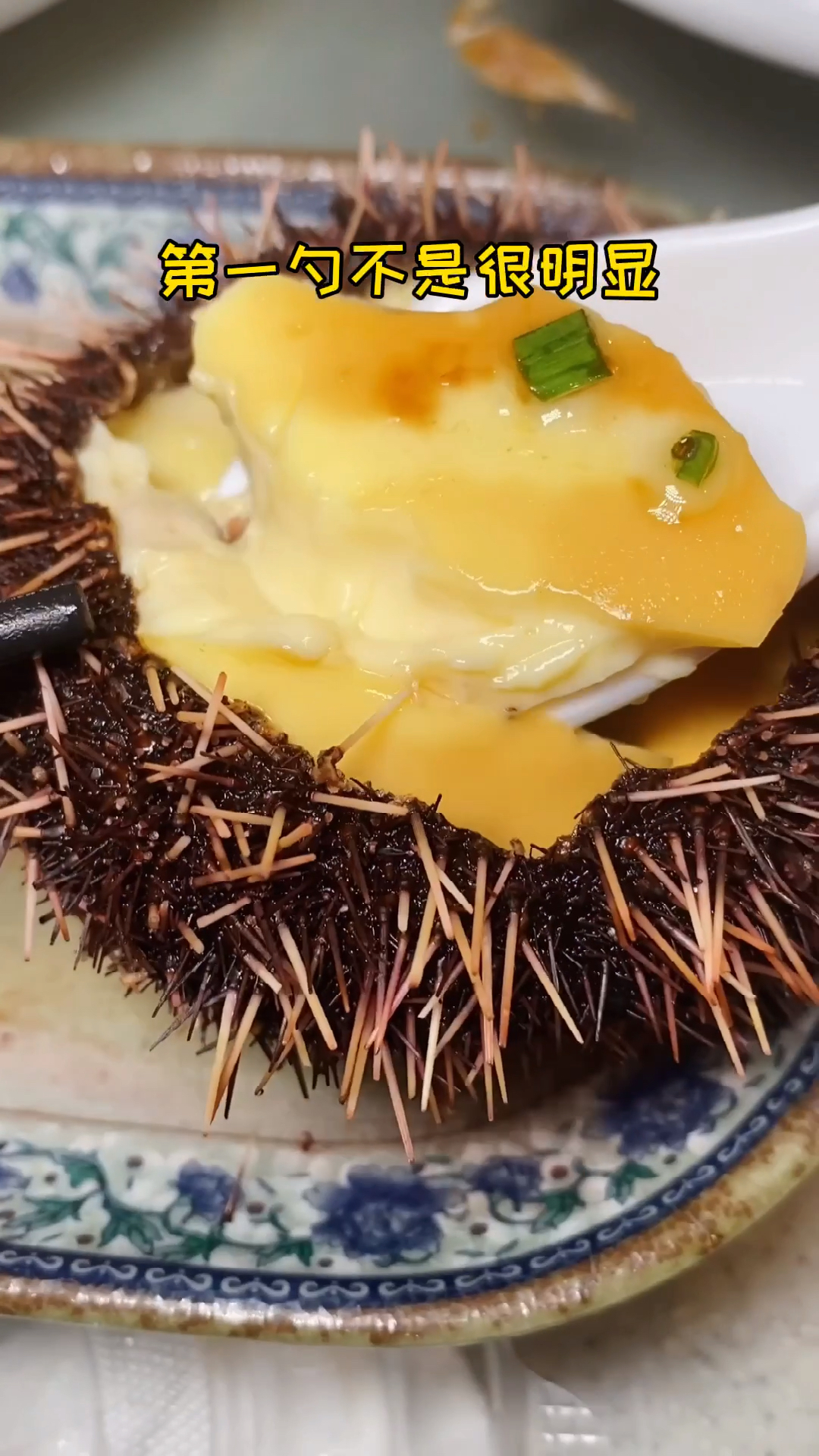#探店美食#三亚的海胆蒸蛋里面到底有没有海胆?店名:三亚梅姐川味海鲜(海棠湾店)