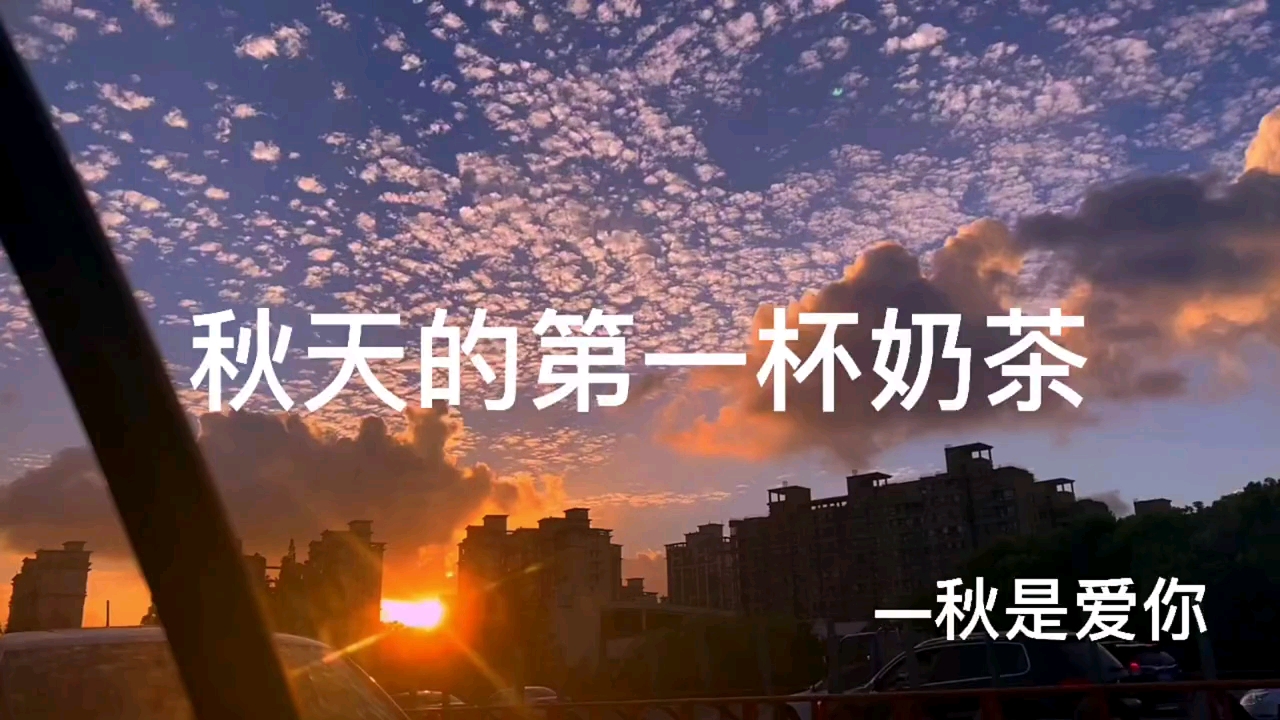 #文案#明天就立秋了,也是秋天的第一天,一定要给你的乖乖,转十块钱买奶茶喝