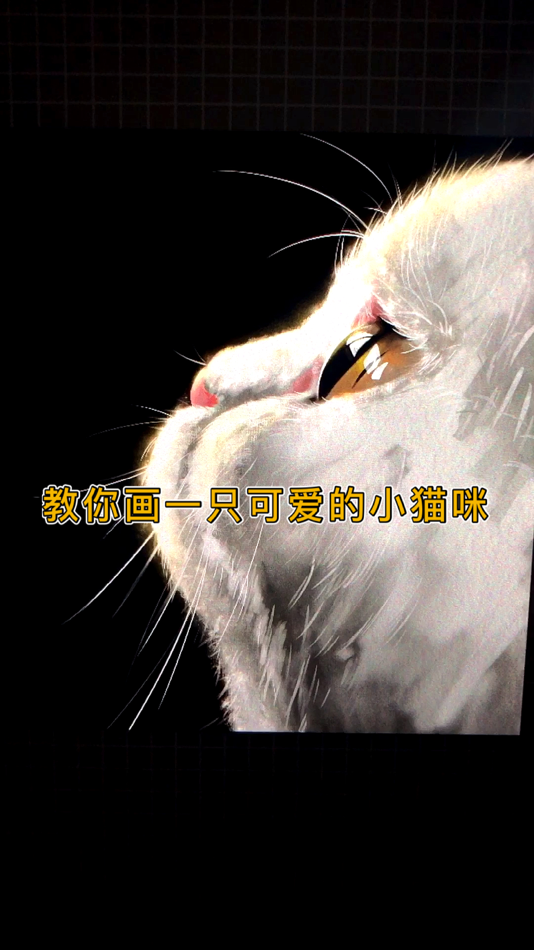 #iPad画#汇报一下近期学习iPad手绘成果,还在探索中。软件:Procreate