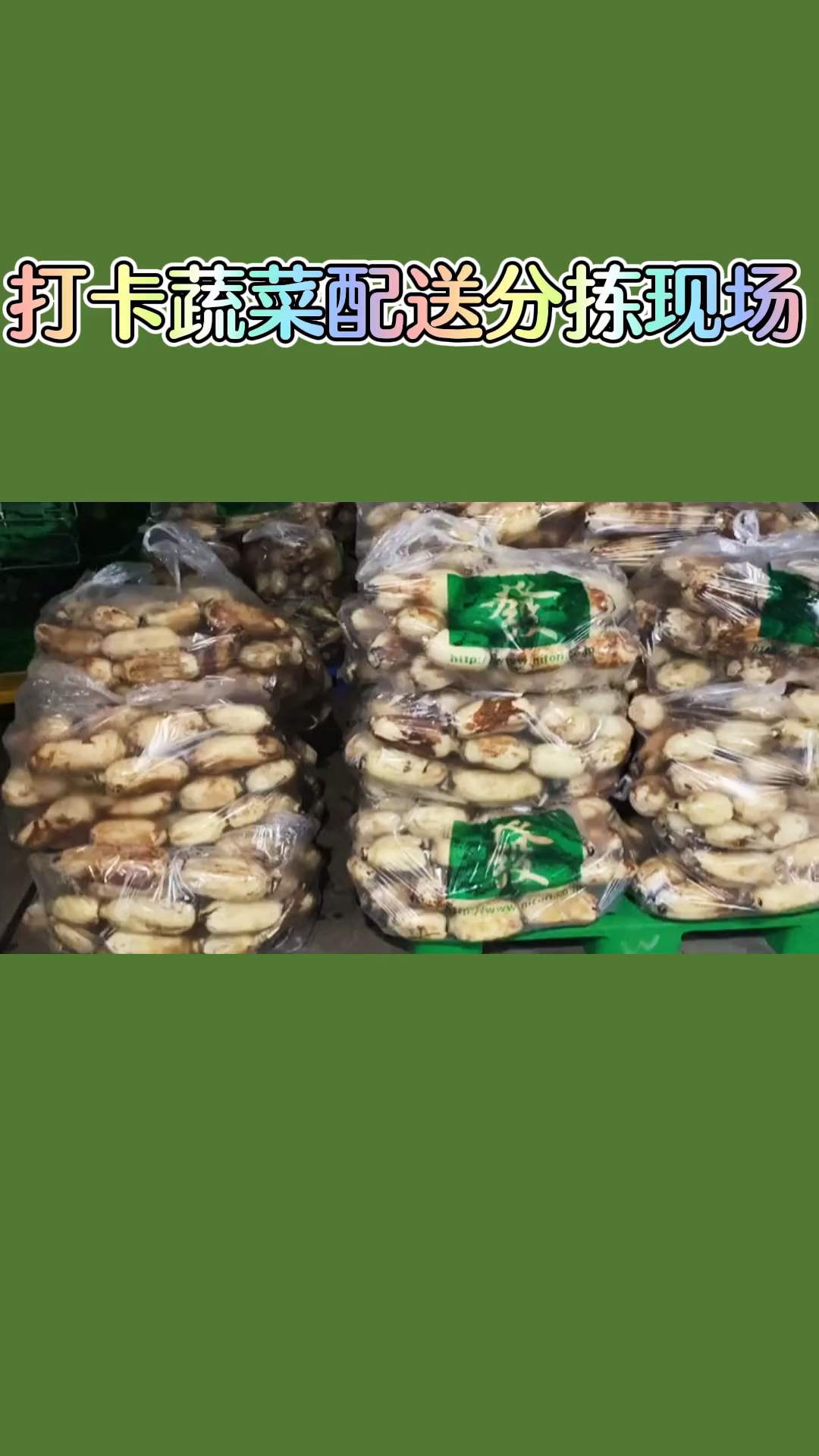 #生鲜配送打卡蔬菜配送分拣现场,削皮烂叶老叶变质的通通丢掉