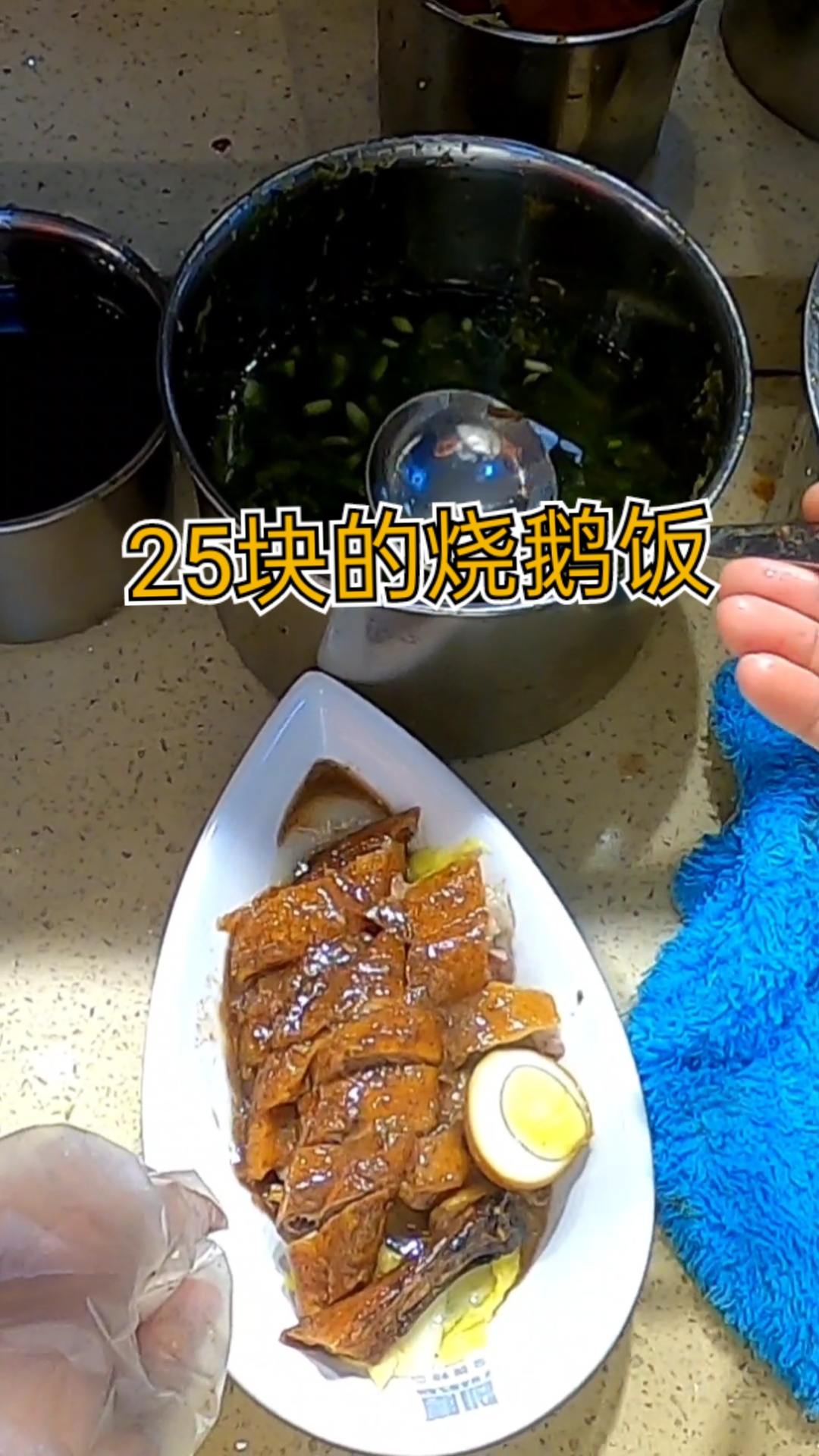 #美食看中国#这份烧鹅饭在广州卖25块贵吗?