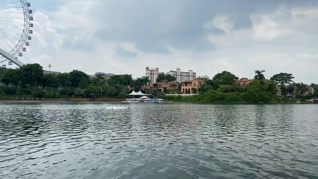 美林湖科莫湖天鹅