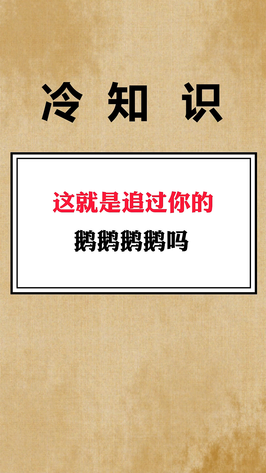 #搞笑大鹅#没错呀,追了好几条街呢