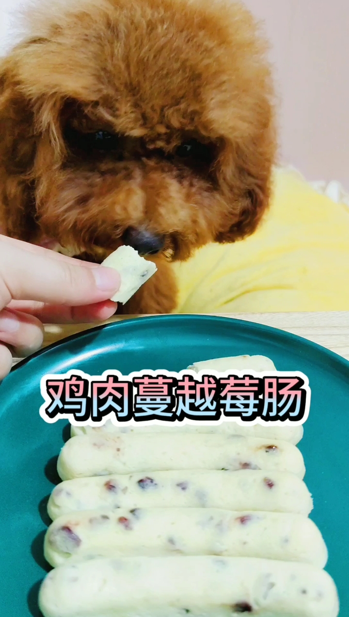 #家有萌宠#外面买的火腿肠担心含有添加剂不利毛孩子的健康？学会这个，在家就能给毛孩子做哦