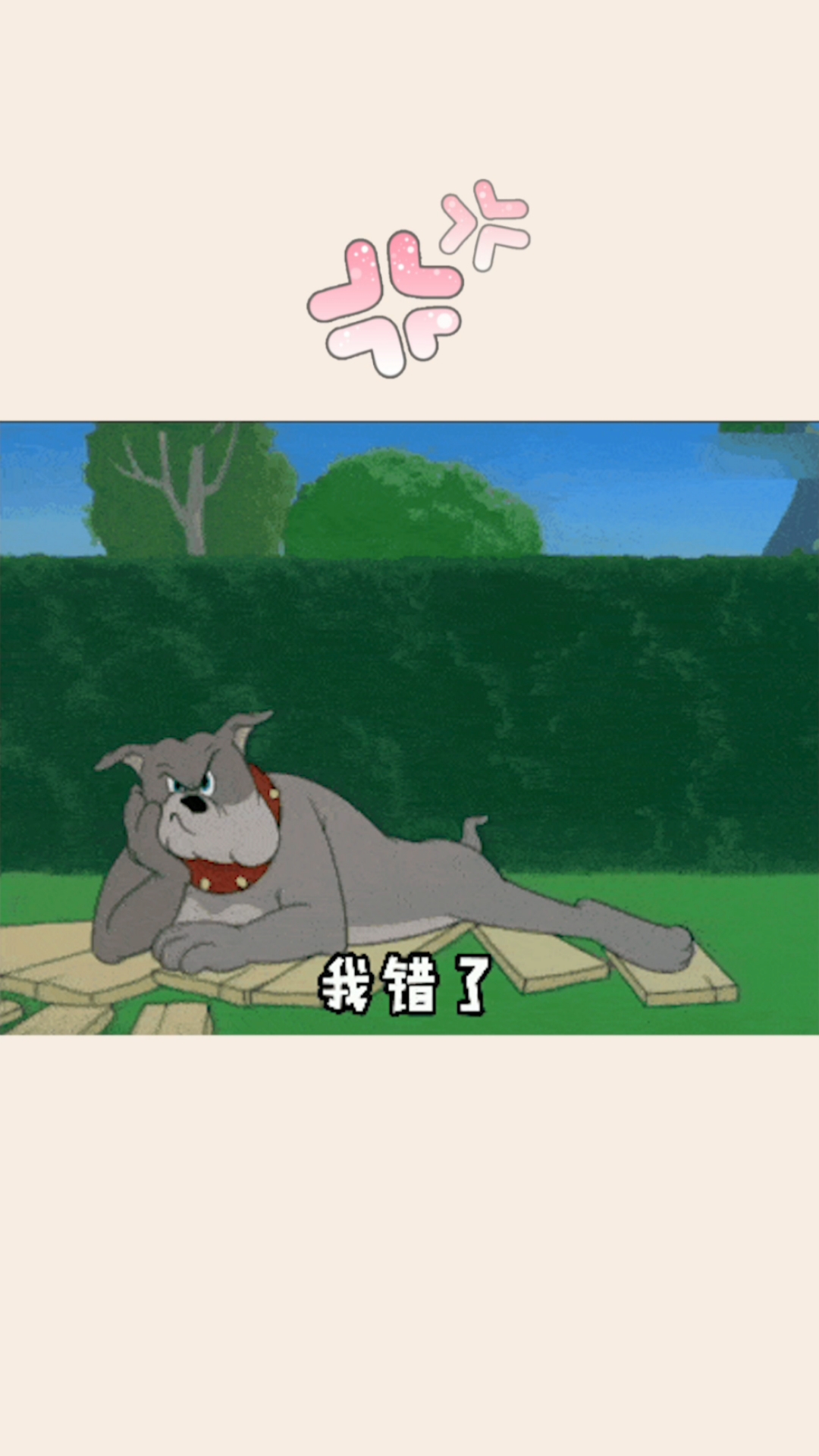 #表情包#对不起我错了,但是我就不改